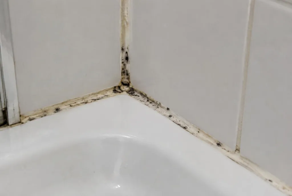 Kitbedrijf Vaassen – beschimmelde kitranden